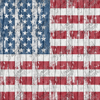 P-USA-41 Painted Flag on Wood