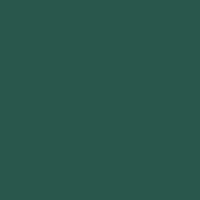 Pine Green Siser EasyWeed® Stretch  HTV