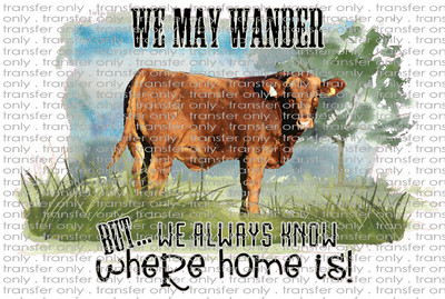 QUT 18 We May Wander Cow Pic