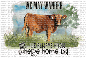 QUT 18 We May Wander Cow Pic