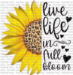 QUT 42 Live Life In Full Bloom Sunflower