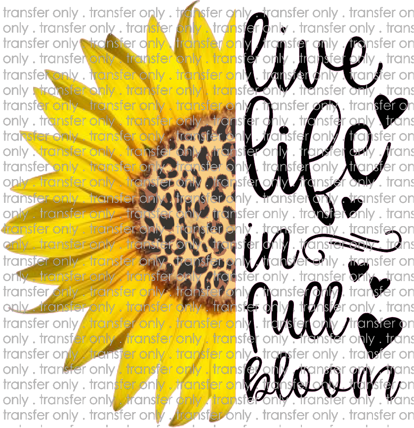QUT 42 Live Life In Full Bloom Sunflower