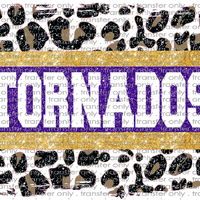 SCHMAS 129 Galveston Tornados
