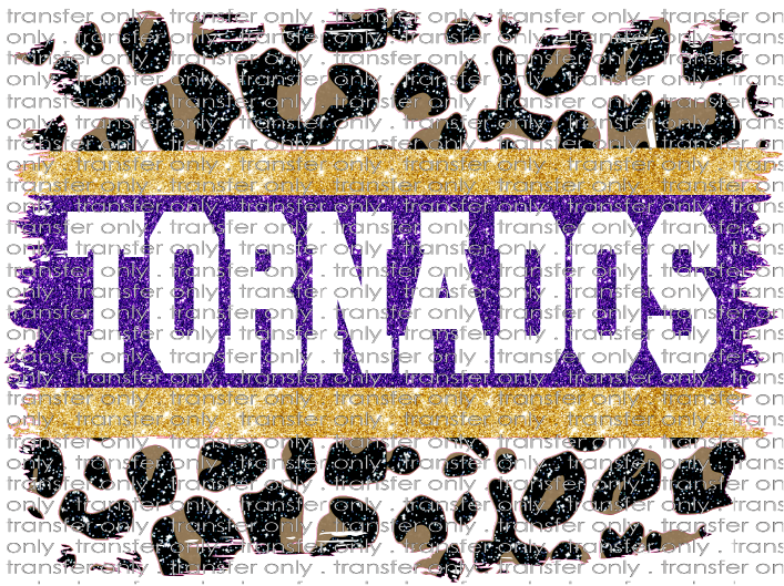 SCHMAS 129 Galveston Tornados