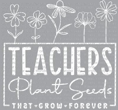 SCH 702 Teachers Plant Seeds