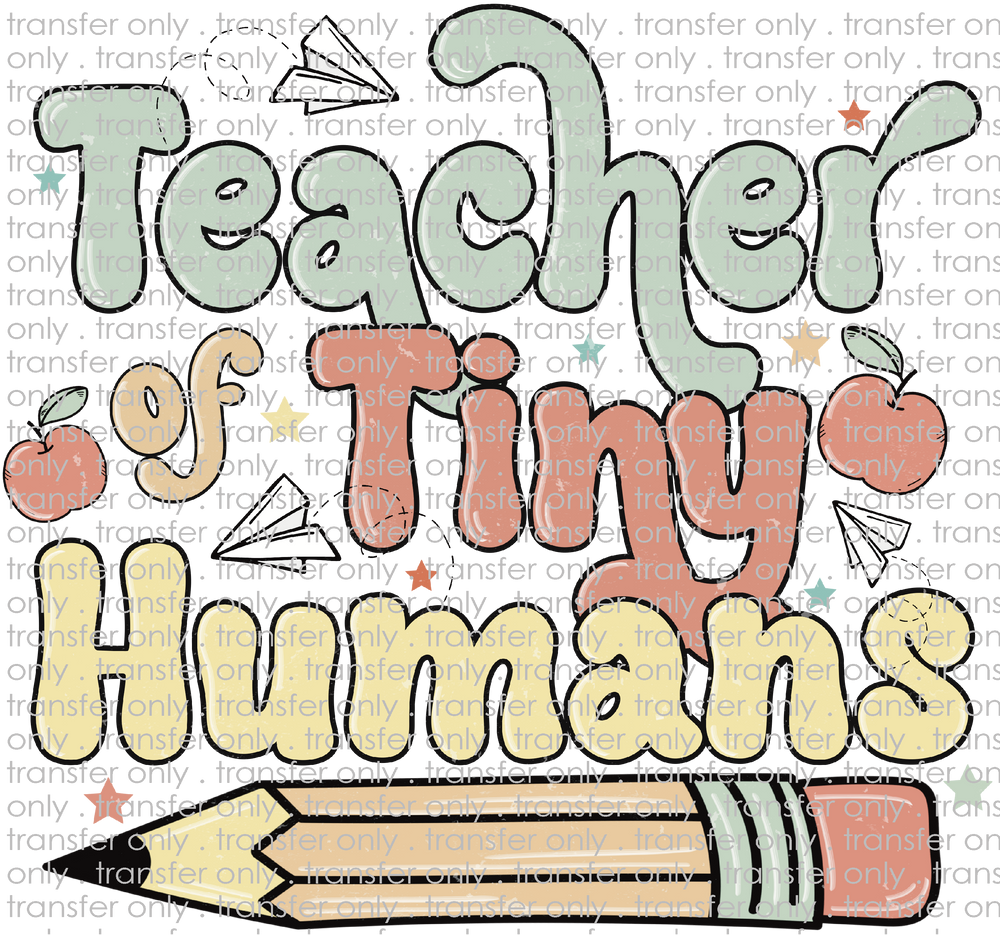 SCH 723 Teacher of Tiny Humans