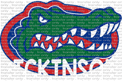 SCHMAS 147 Dickinson Gators White