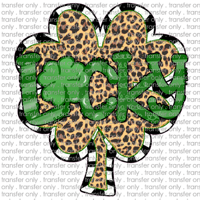 STP 20 Lucky Leopard Clover