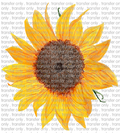 SUM 12 Sunflower Watercolor