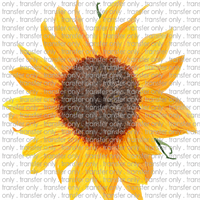 SUM 12 Sunflower Watercolor