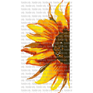 SUM 13 Half Sunflower Watercolor