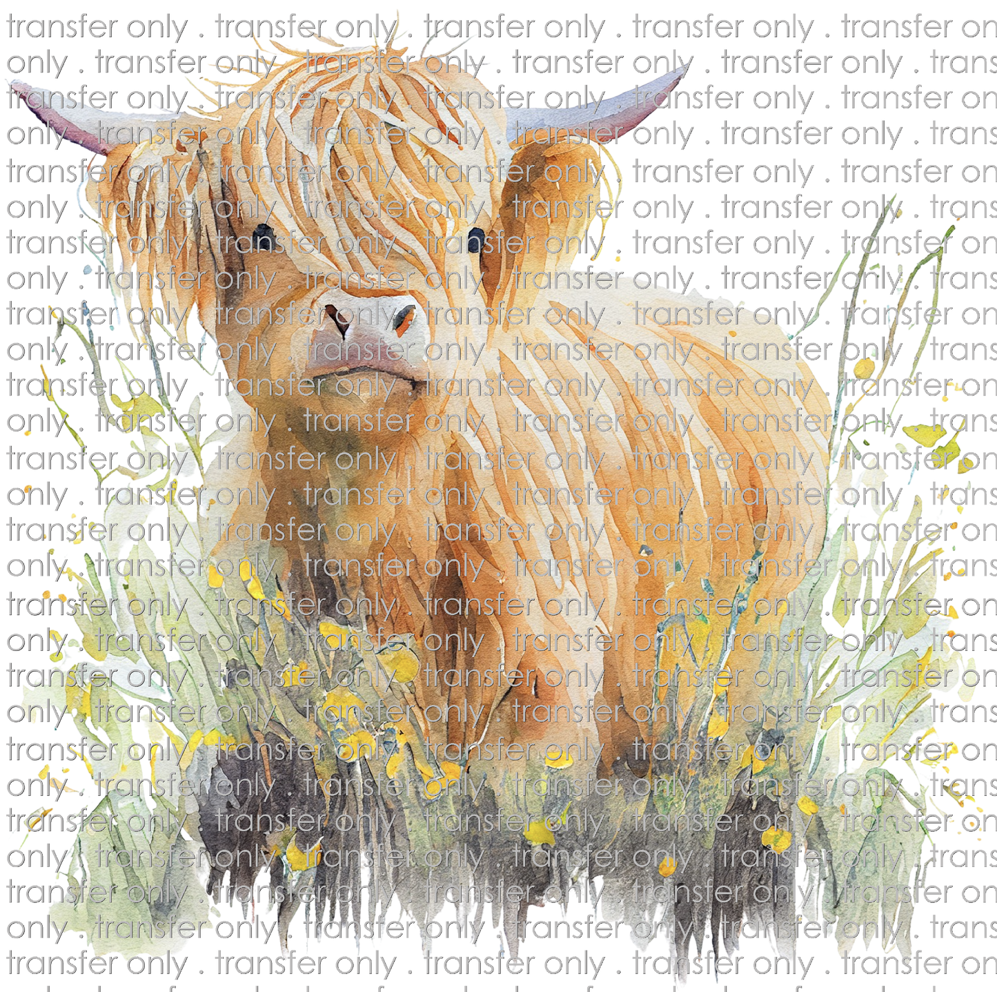 SW 129 Highland Cow