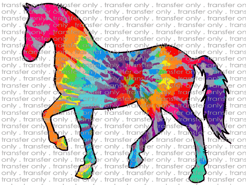 SW 51 Tie Dye Horse