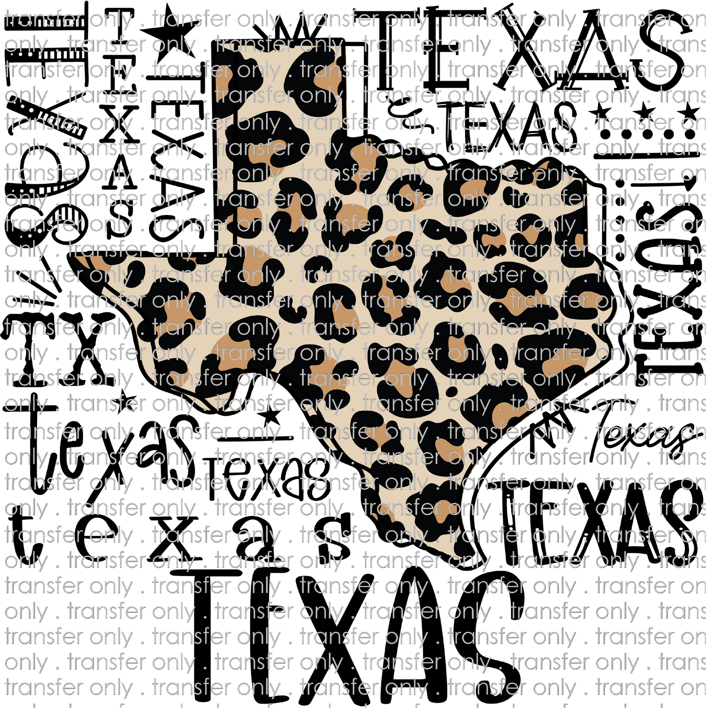 TX 107 Texas Typography