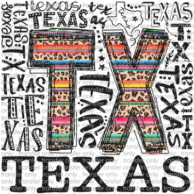 TX 111 Texas Serape Word Art