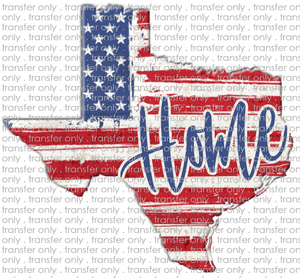 TX 19 Texas American Flag Home
