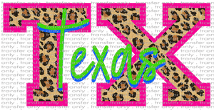 TX 26 Texas Neon
