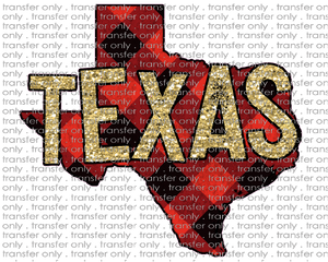 TX 2 Texas Buffalo Plaid and Glitter