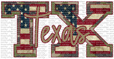 TX 36 Texas Camo American Flag