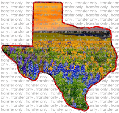 TX 41 Texas Blue Bonnet Sunset