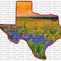TX 41 Texas Blue Bonnet Sunset