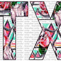 TX 42 Texas Letter Long Horn Skulls