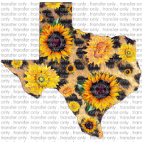 TX 54 Sunflower Texas Leopard
