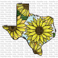 TX 68 Filled sunflower tx