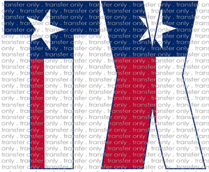 TX 78 Texas TX Letters Flag Colors