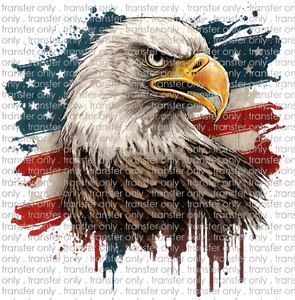 USA 171 Eagle and Flag