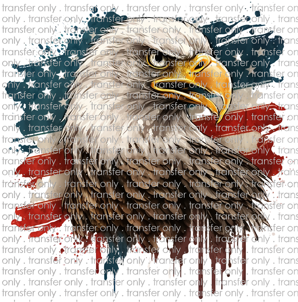 USA 171 Eagle and Flag