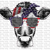 USA 17 USA Patriotic Heifer