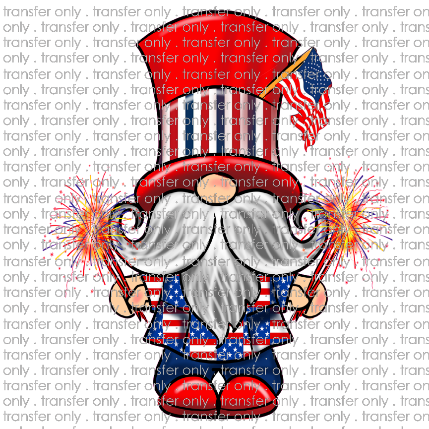 USA 64 July Gnome Girl