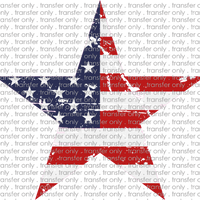 USA 97 Weathered Flag Star