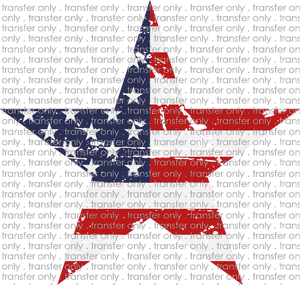 USA 97 Weathered Flag Star