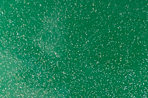 Envy Green Oracal 851 Sparkling Glitter Metallic