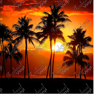 P-NAT-09 Sunset With Palm Trees